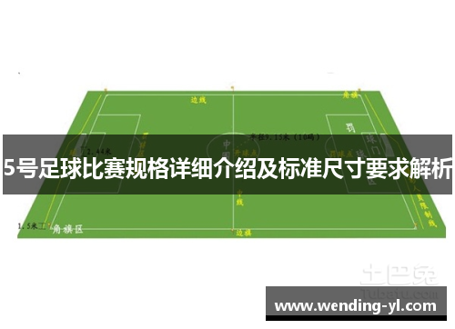 5号足球比赛规格详细介绍及标准尺寸要求解析